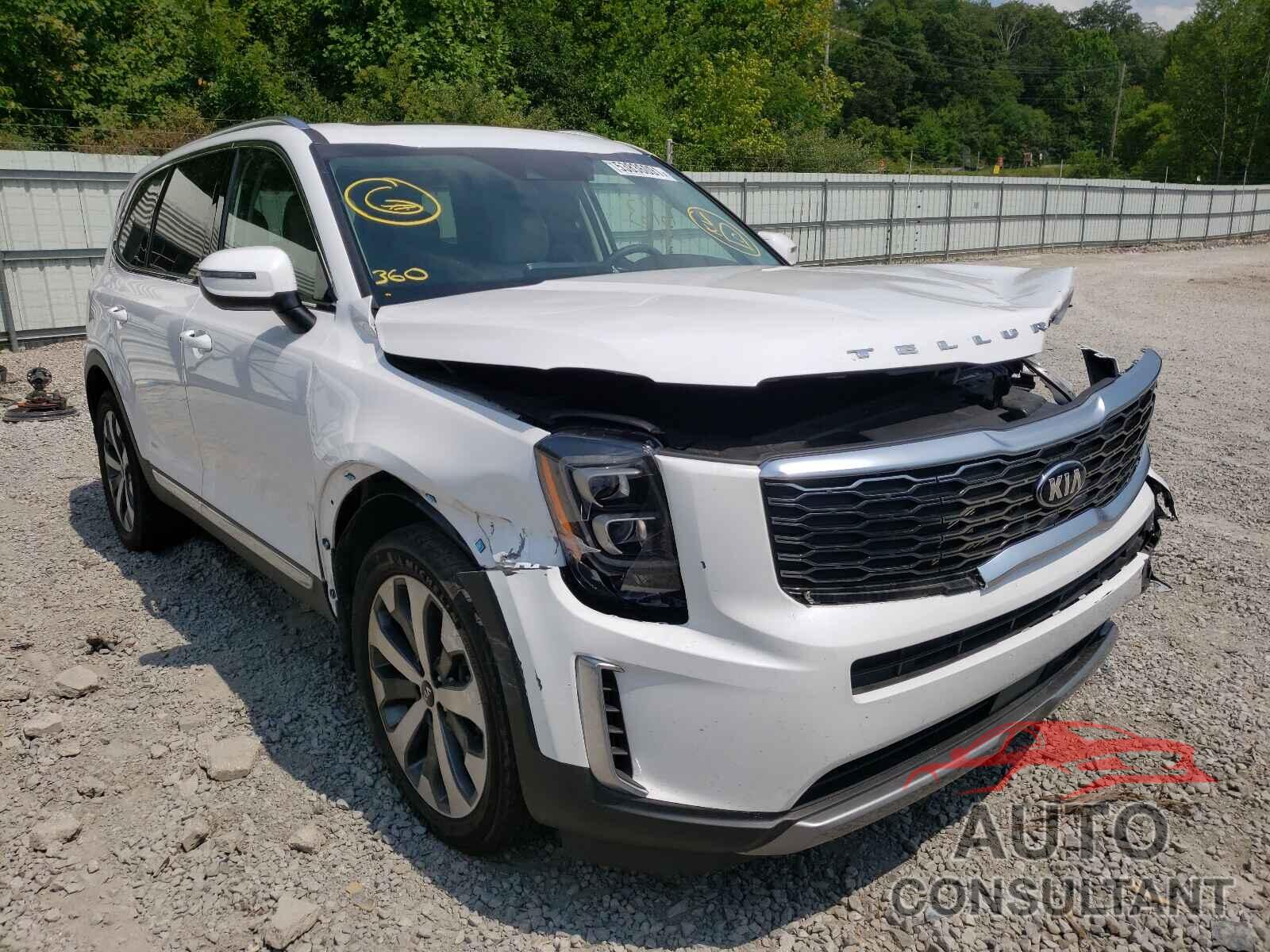 KIA TELLURIDE 2021 - 5XYP3DHC5MG171807