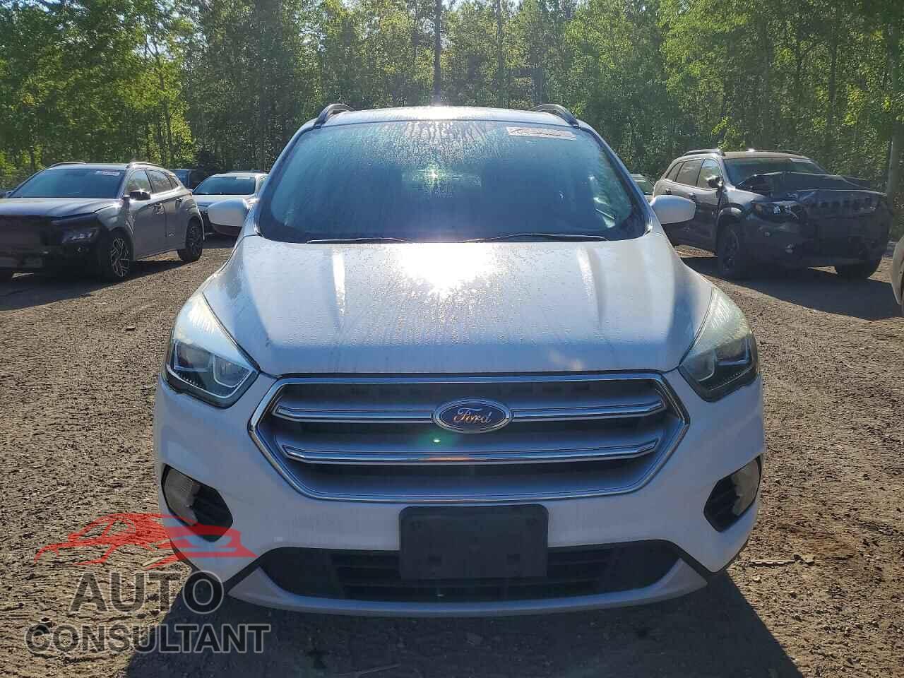 FORD ESCAPE 2017 - 1FMCU0GD2HUB17153