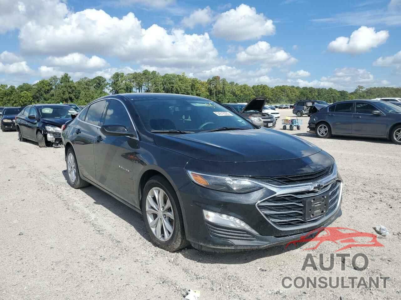 CHEVROLET MALIBU 2019 - 1G1ZD5ST6KF200177