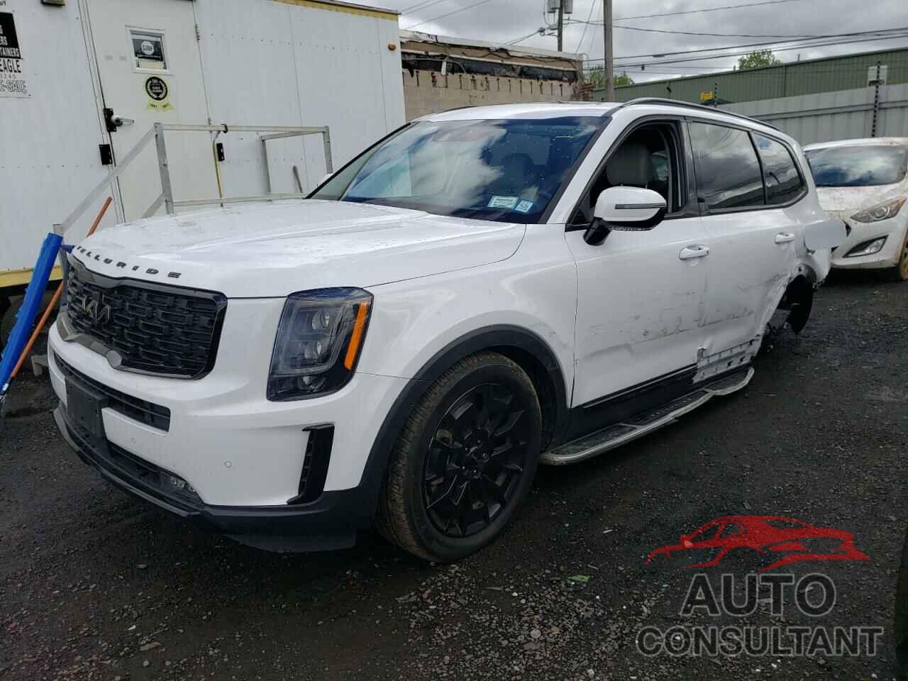 KIA TELLURIDE 2022 - 5XYP5DHC3NG258956