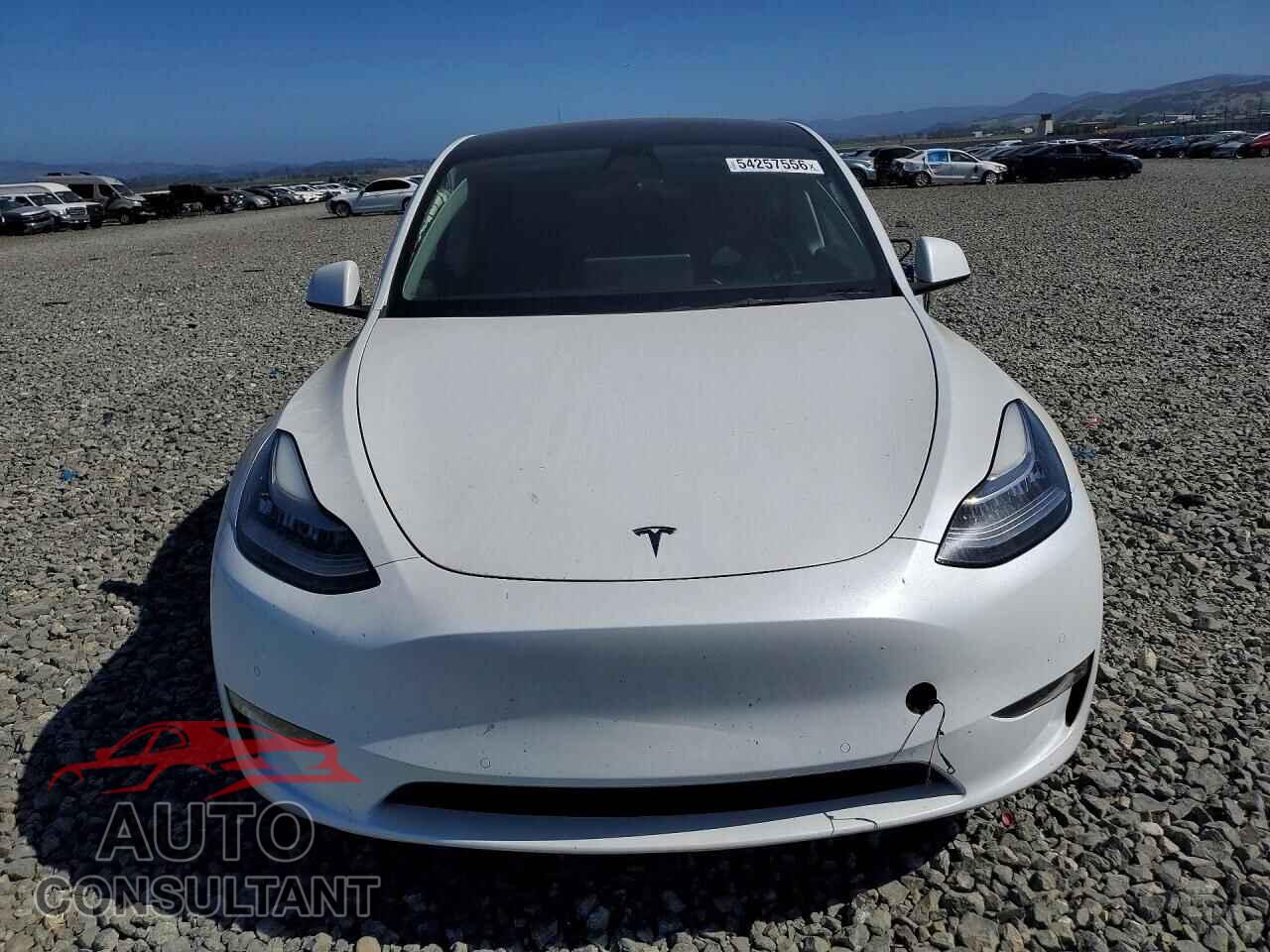 TESLA MODEL Y 2022 - 7SAYGDEE9NF356338