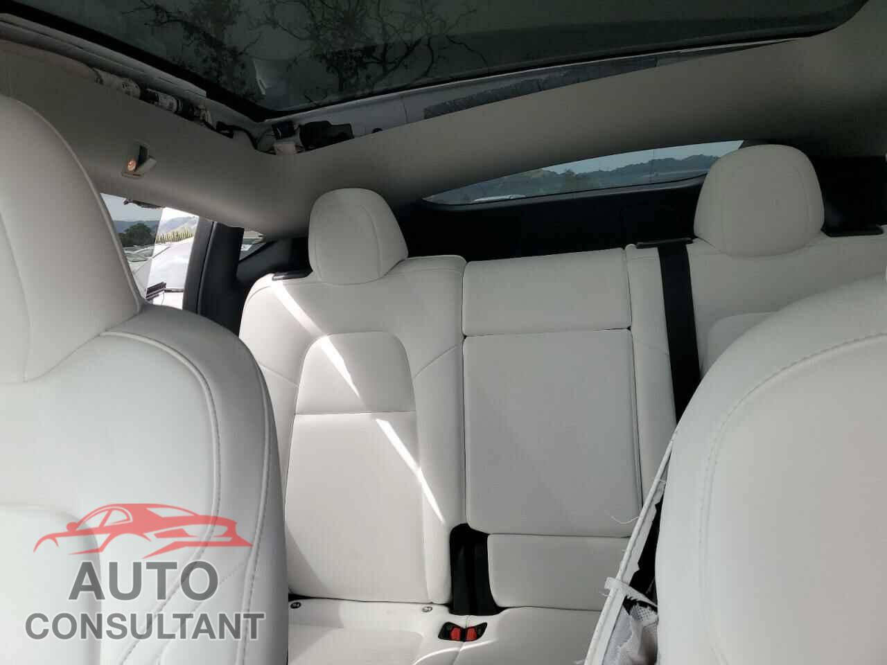 TESLA MODEL Y 2023 - 7SAYGDEE3PF815088