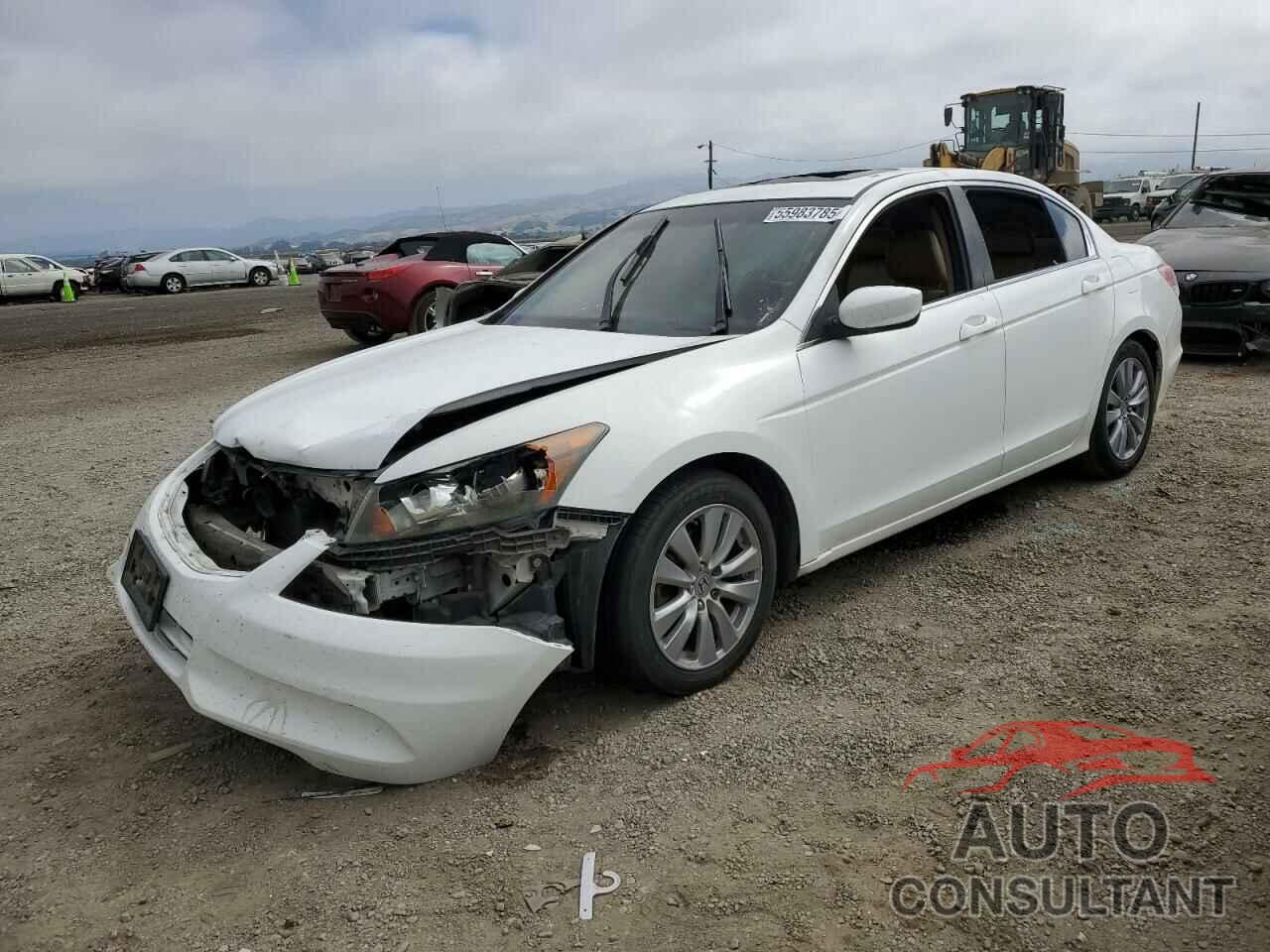 HONDA ACCORD 2011 - 1HGCP2F87BA053181