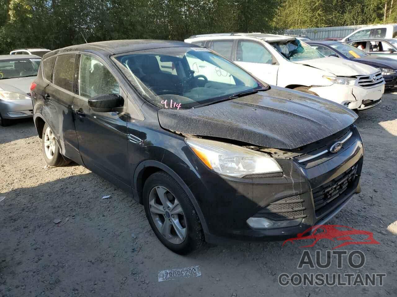 FORD ESCAPE 2016 - 1FMCU0G77GUA14531