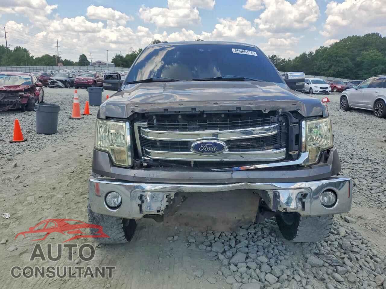 FORD F150 2013 - 1FTFW1CFXDFD31606
