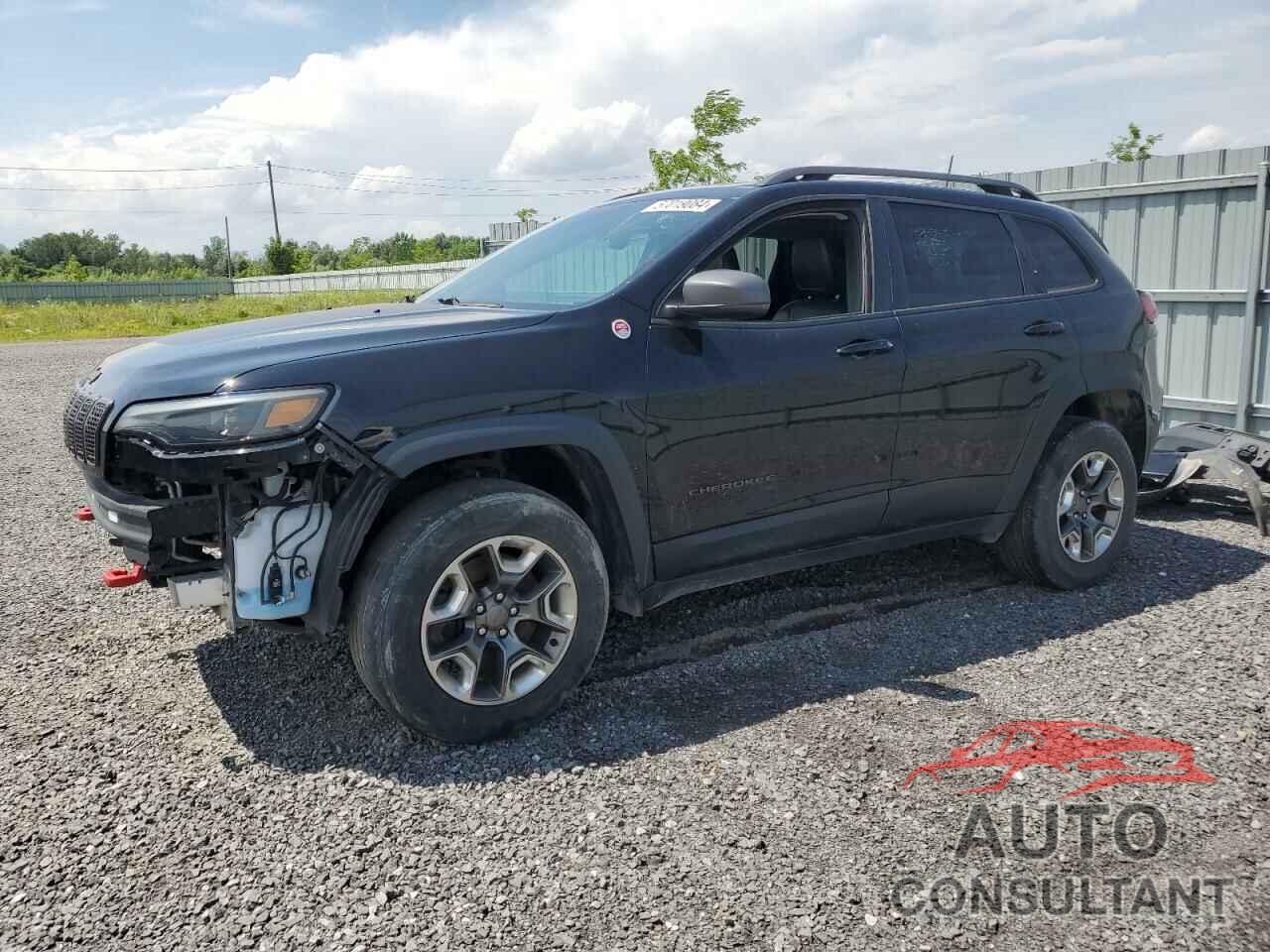 JEEP CHEROKEE 2019 - 1C4PJMBX1KD113674