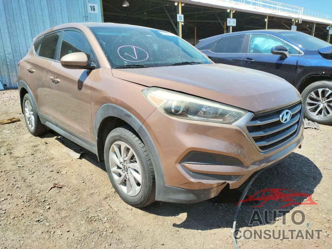 HYUNDAI TUCSON 2016 - KM8J23A42GU027832