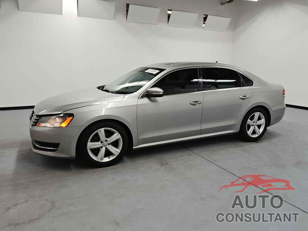 VOLKSWAGEN PASSAT 2013 - 1VWBP7A33DC114159