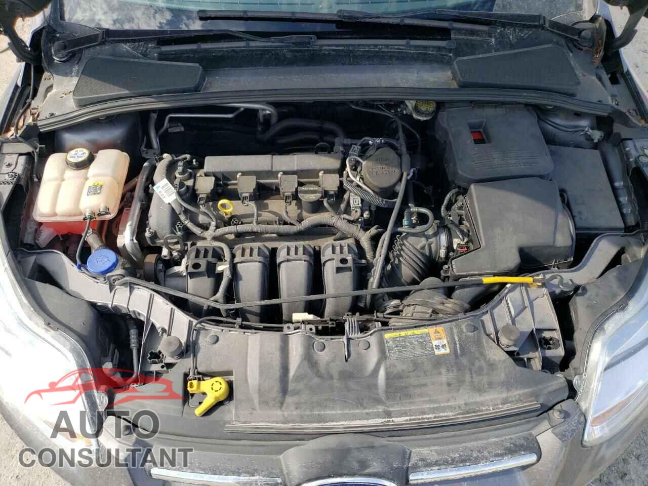 FORD FOCUS 2012 - 1FAHP3E26CL128200