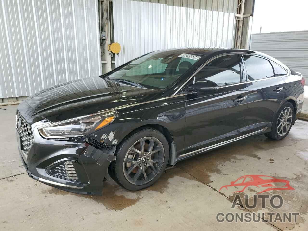 HYUNDAI SONATA 2019 - 5NPE34AB4KH811956