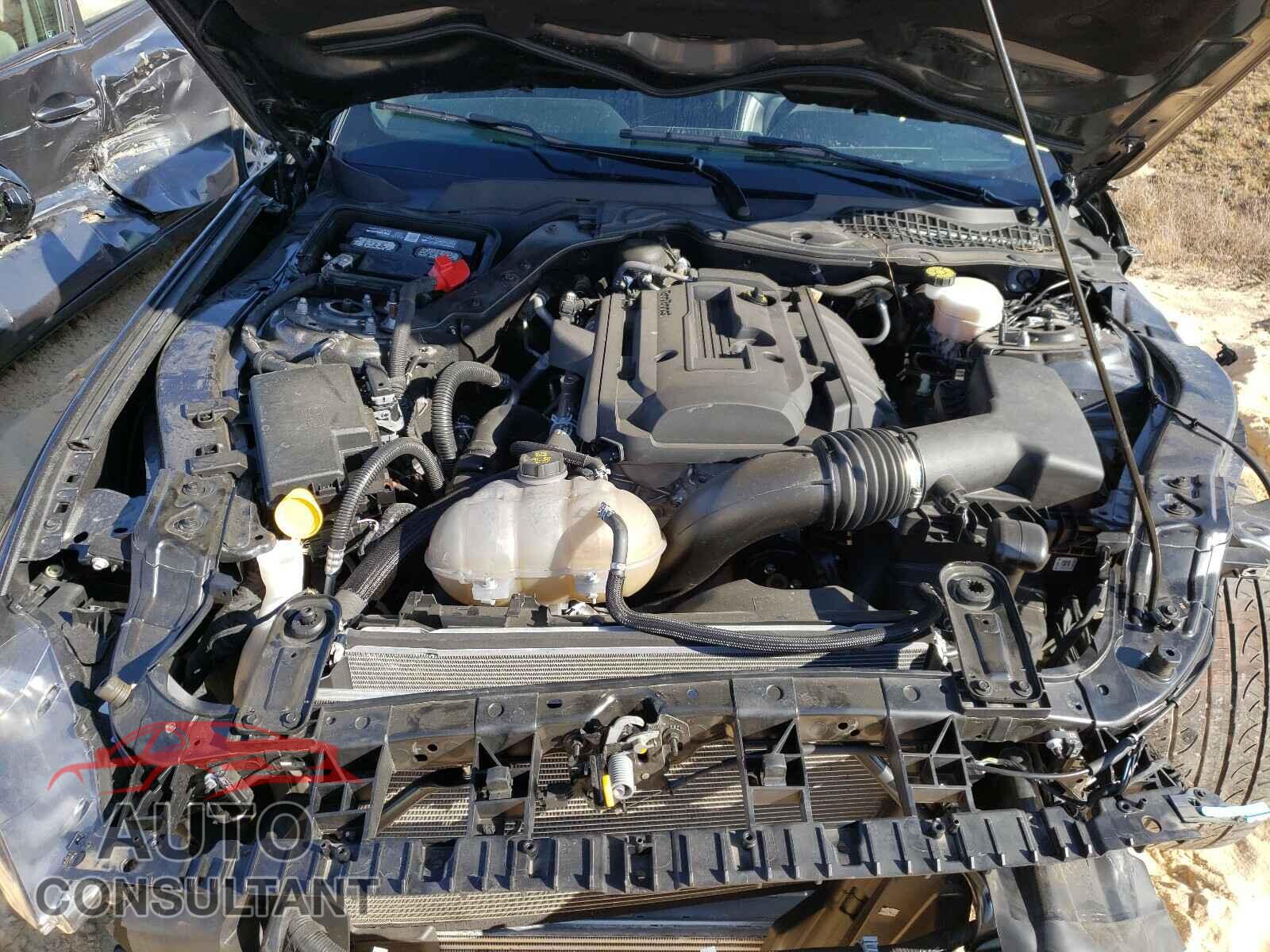 FORD MUSTANG 2019 - 1FA6P8TH1K5173446