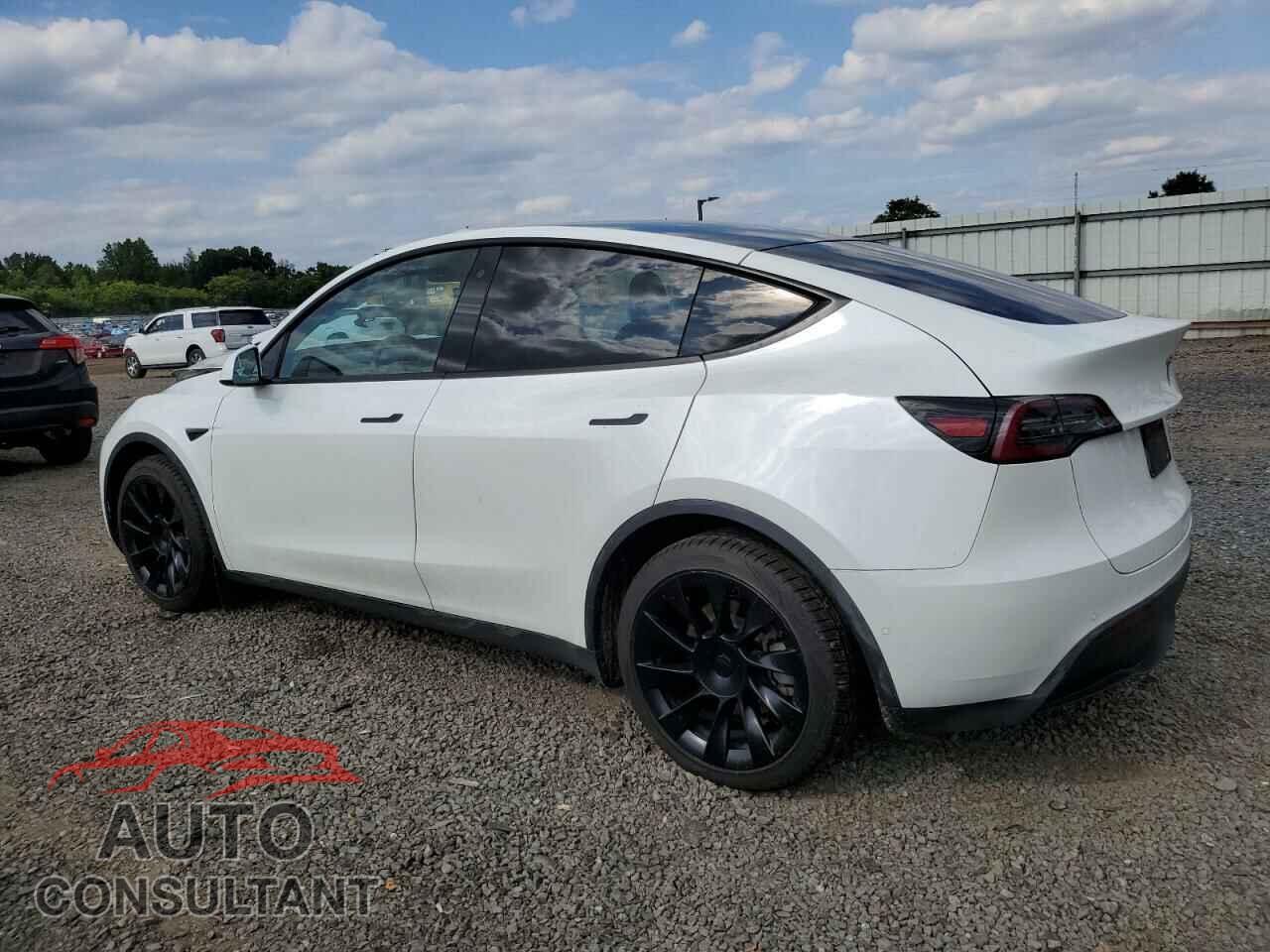 TESLA MODEL Y 2020 - 5YJYGDEEXLF011250