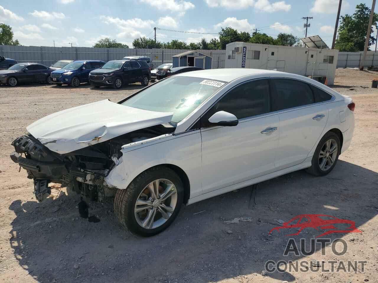 HYUNDAI SONATA 2019 - 5NPE34AF8KH731191