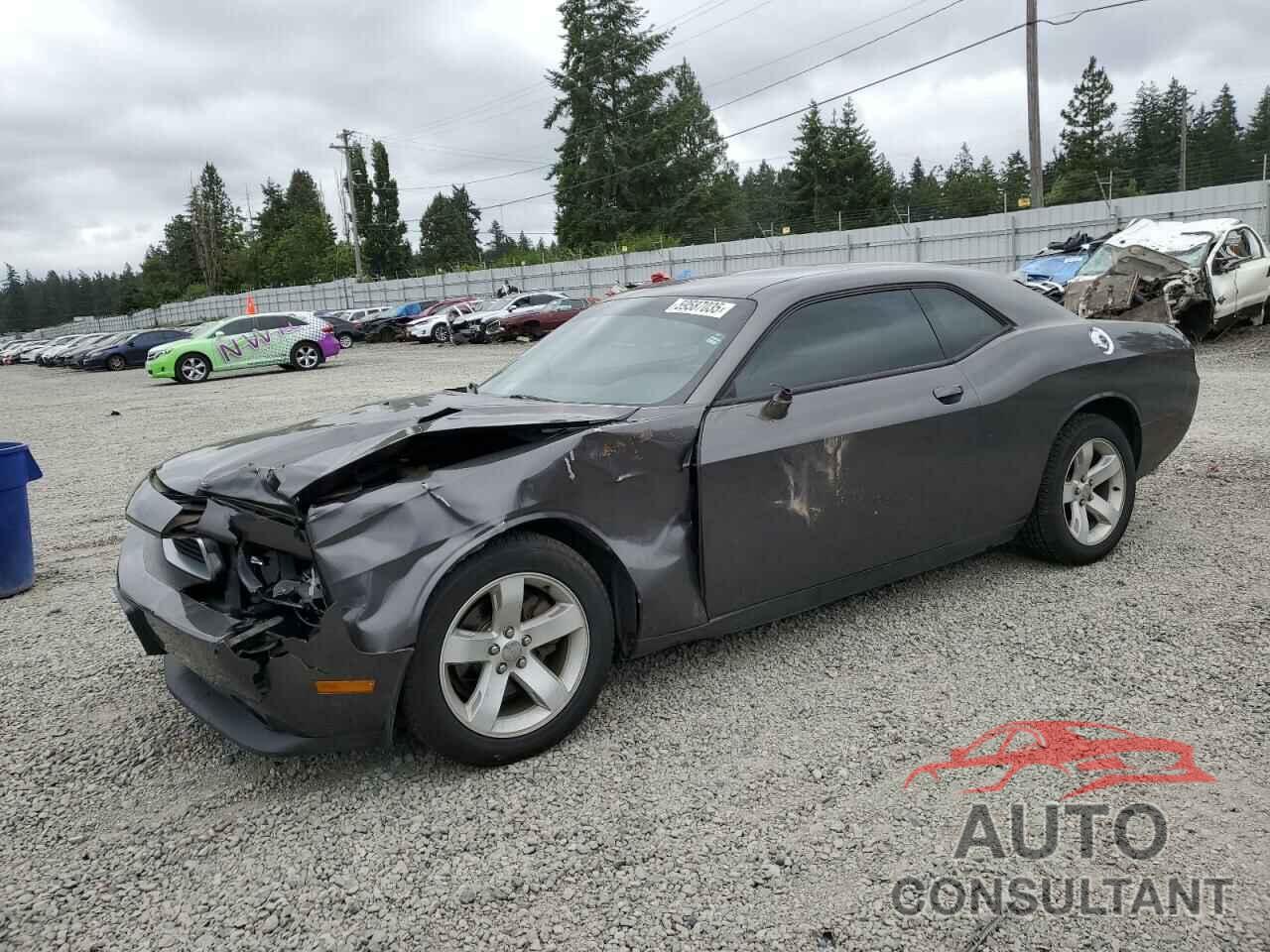 DODGE CHALLENGER 2014 - 2C3CDYAG2EH262136