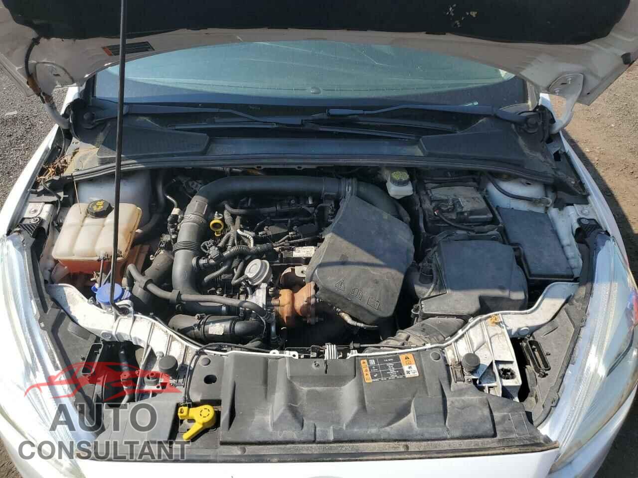 FORD FOCUS 2017 - 1FADP3FE1HL238408