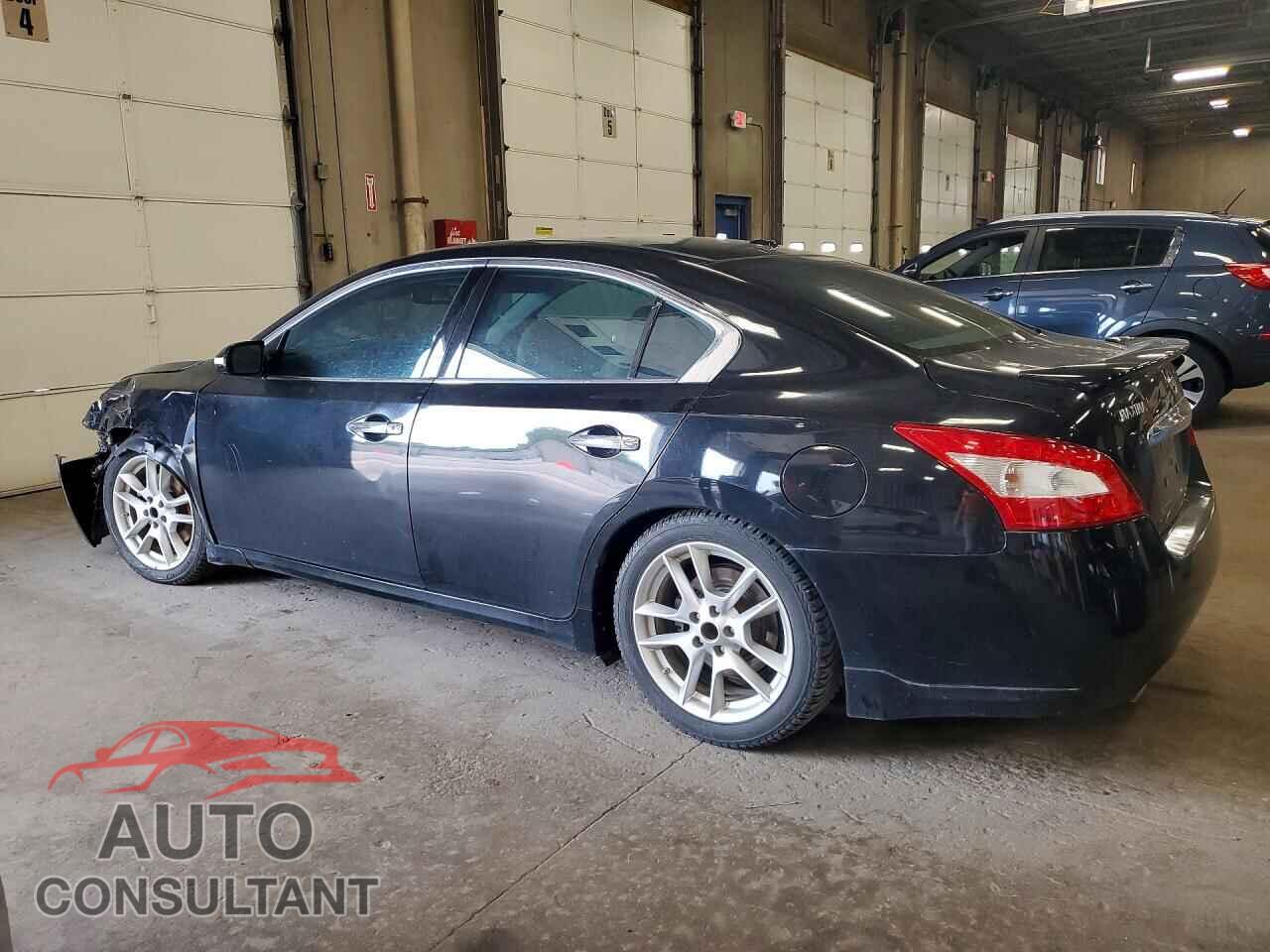 NISSAN MAXIMA 2011 - 1N4AA5APXBC863776