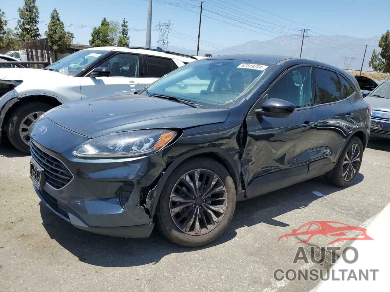 FORD ESCAPE 2022 - 1FMCU0G66NUB34471