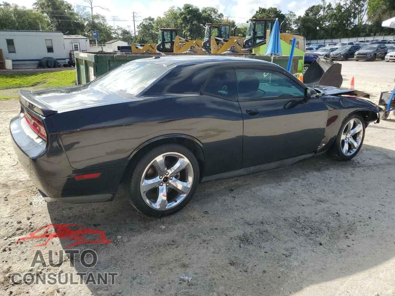 DODGE CHALLENGER 2013 - 2C3CDYBTXDH530957