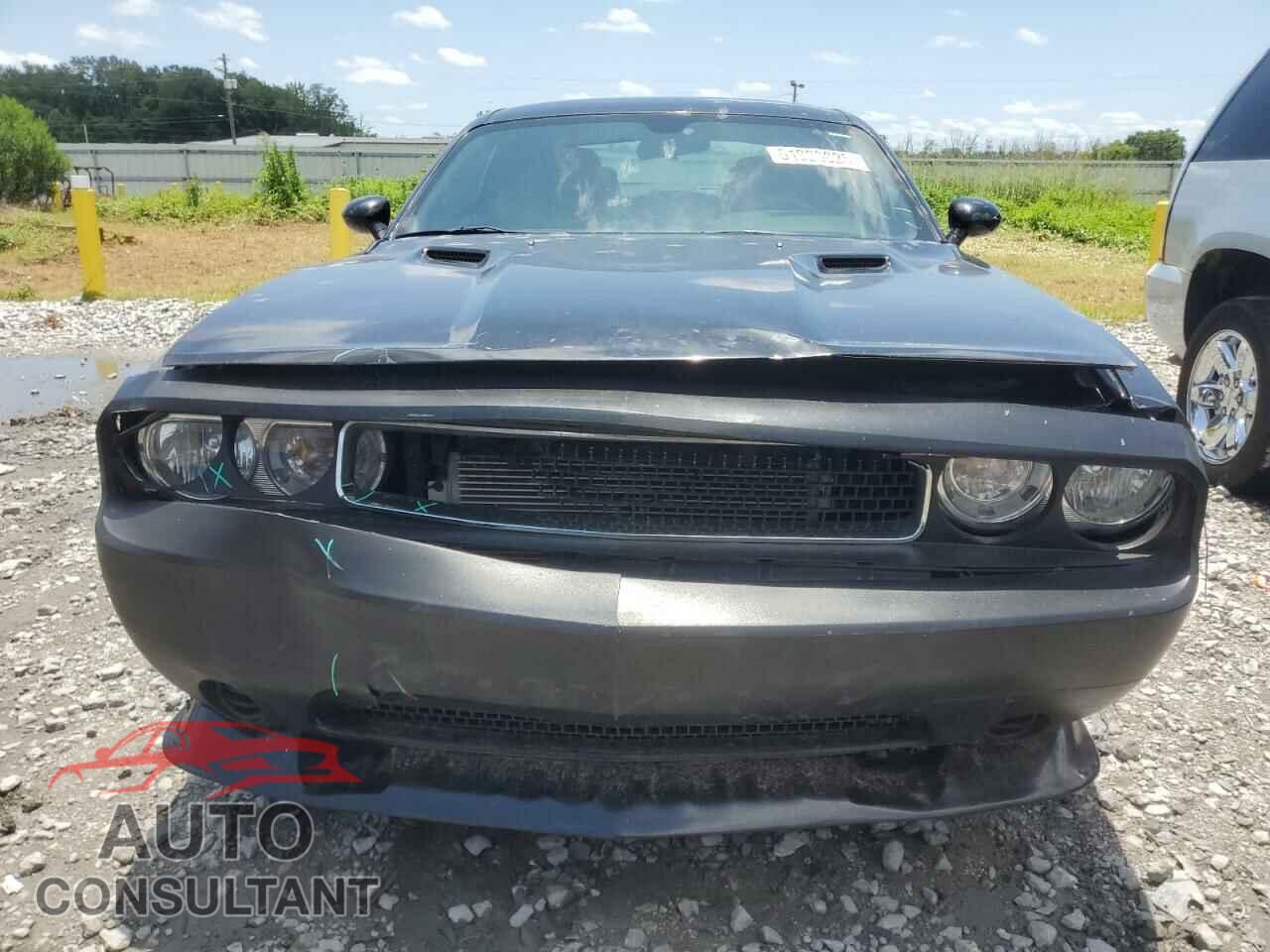 DODGE CHALLENGER 2014 - 2C3CDYAG1EH251080