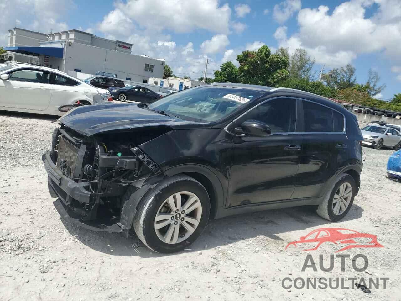 KIA SPORTAGE 2017 - KNDPM3ACXH7230869