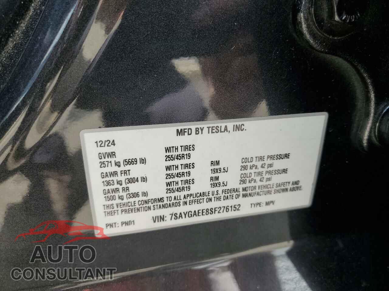 TESLA MODEL Y 2025 - 7SAYGAEE8SF276152