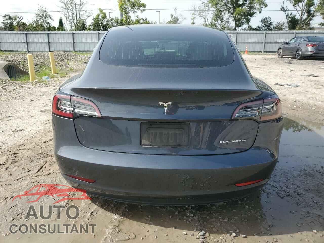 TESLA MODEL 3 2019 - 5YJ3E1EBXKF517633