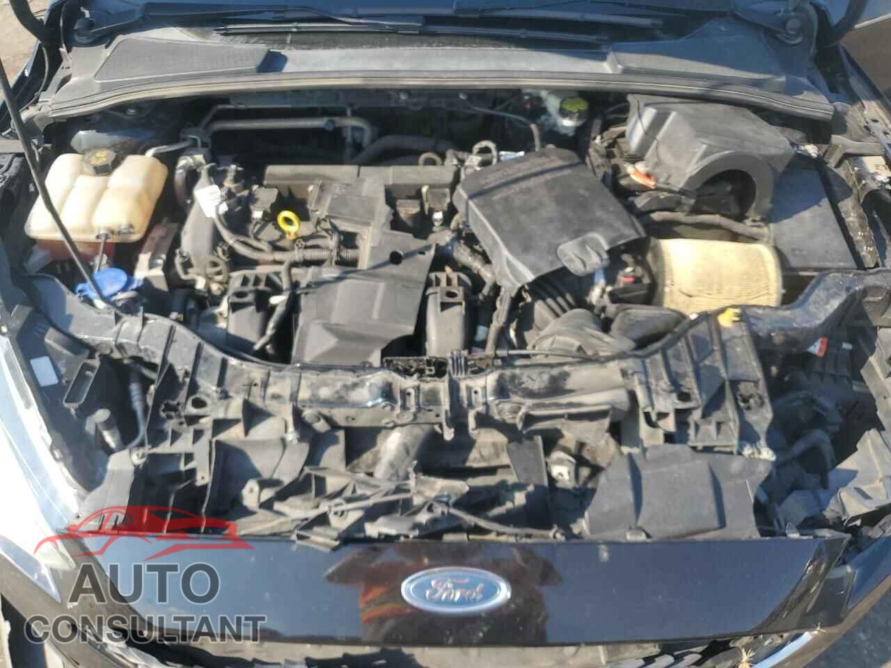 FORD FOCUS 2016 - 1FADP3K28GL318170