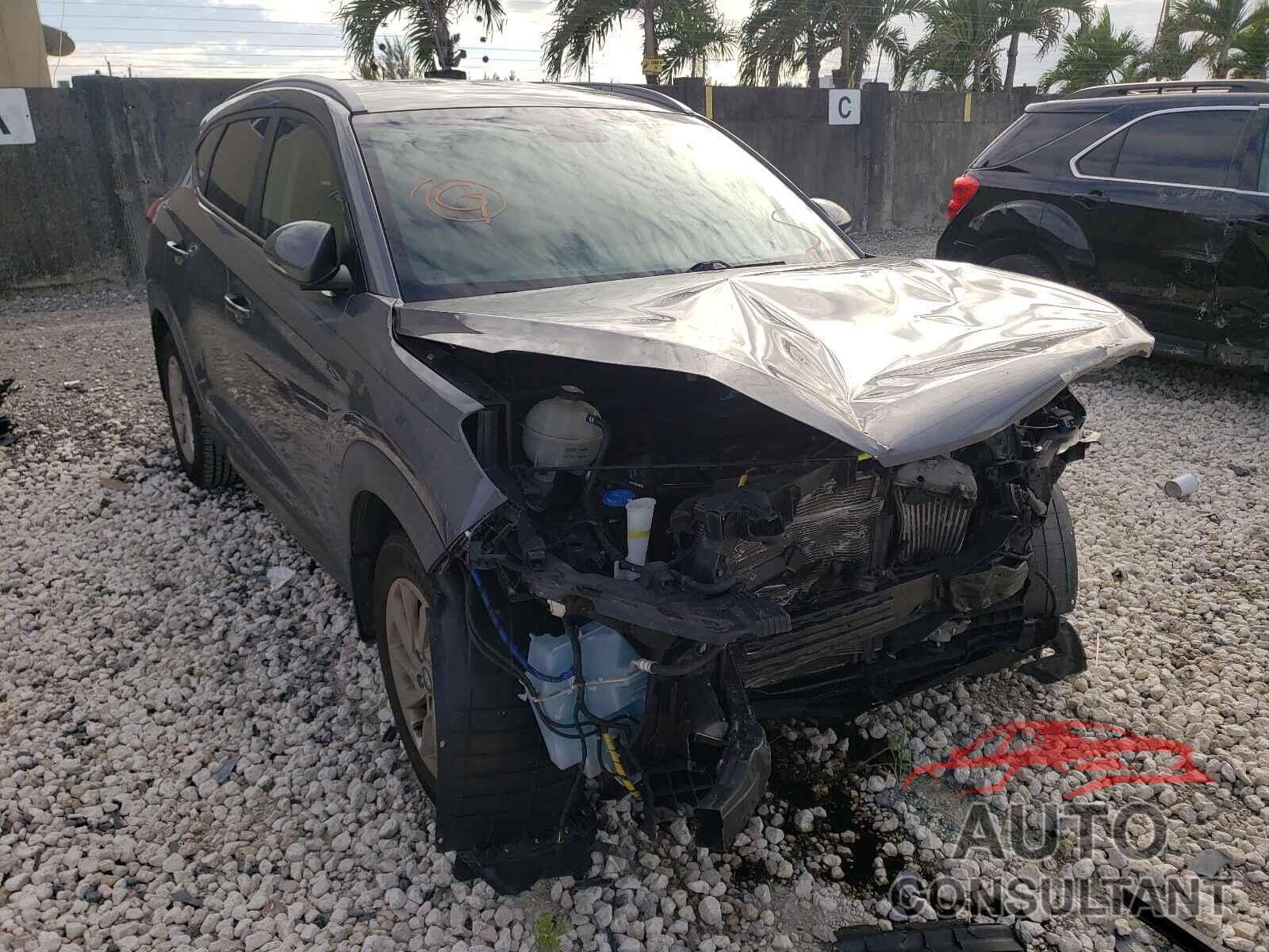 HYUNDAI TUCSON 2016 - KM8J33A24GU047222
