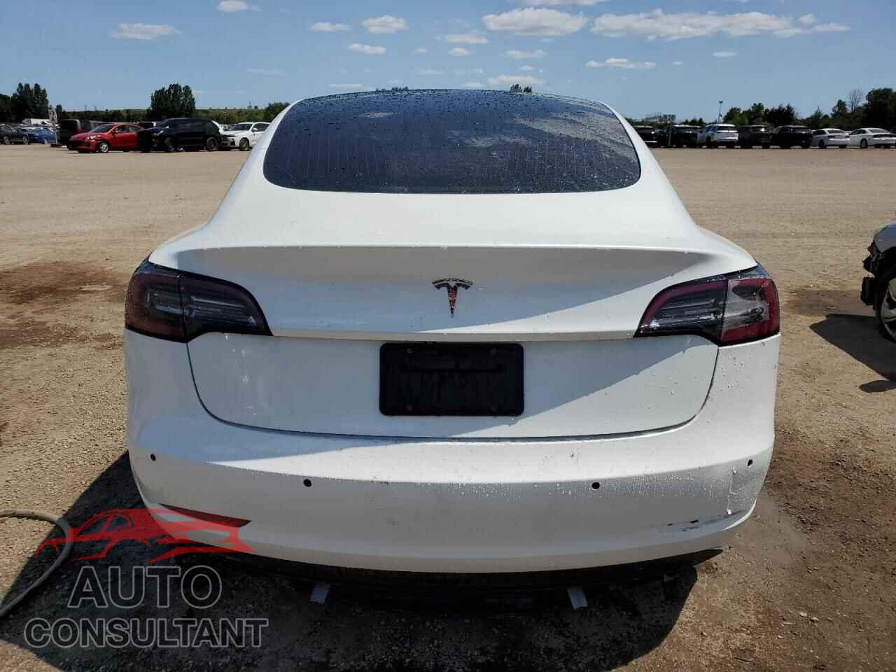 TESLA MODEL 3 2019 - 5YJ3E1EA8KF487782