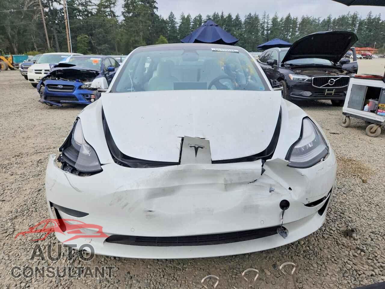 TESLA MODEL 3 2020 - 5YJ3E1EB7LF742318
