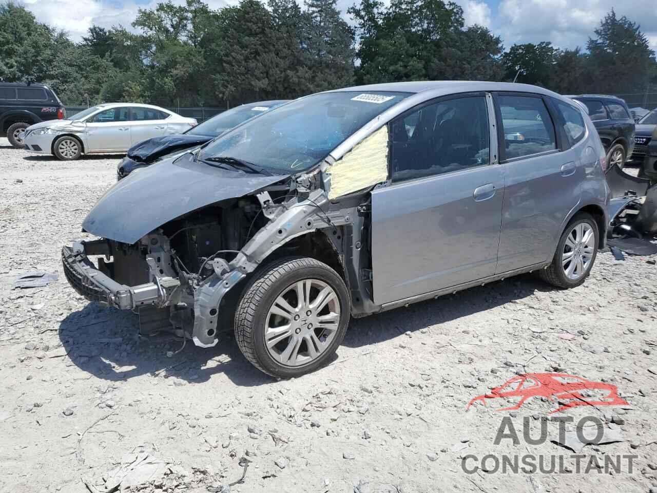 HONDA FIT 2010 - JHMGE8H49AC016198