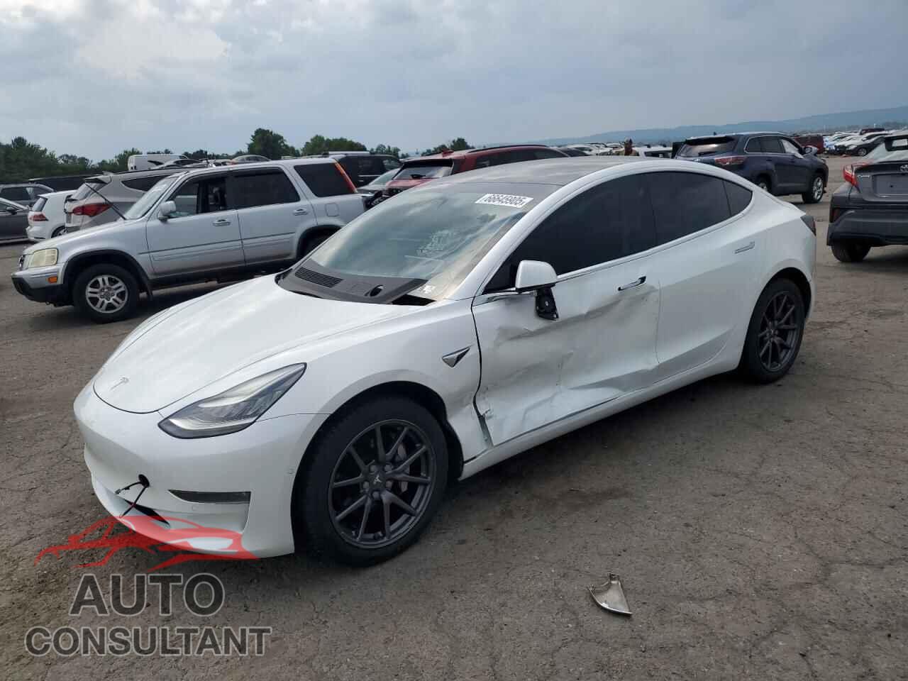 TESLA MODEL 3 2019 - 5YJ3E1EA2KF397009