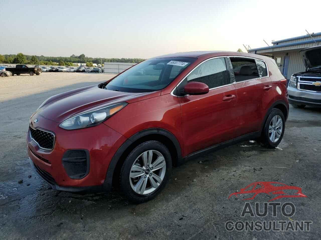 KIA SPORTAGE 2017 - KNDPM3AC6H7206908