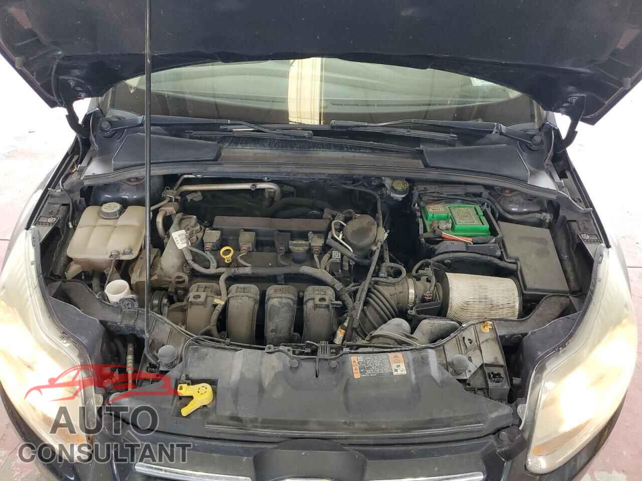 FORD FOCUS 2013 - 1FADP3F25DL154981
