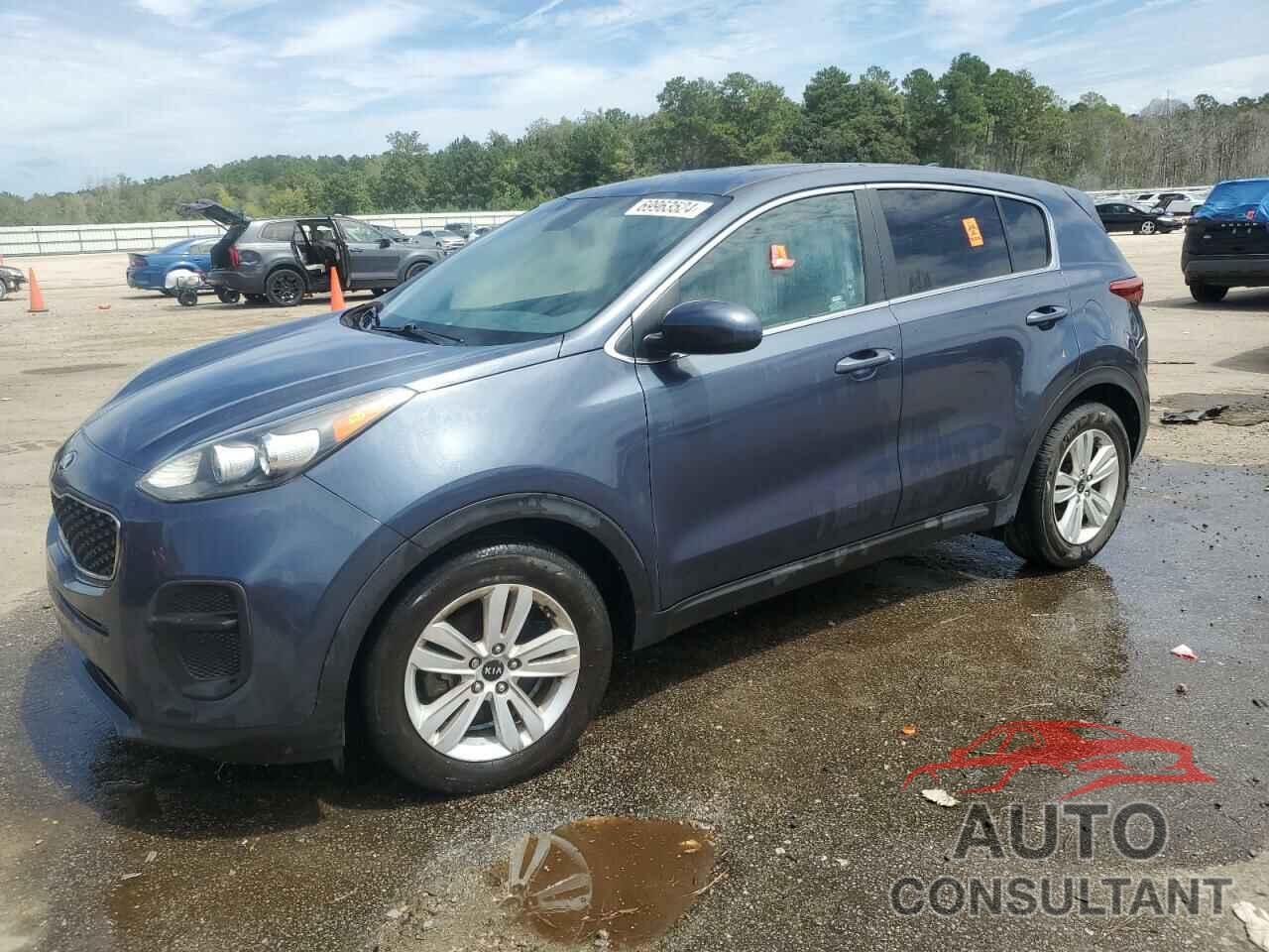 KIA SPORTAGE 2017 - KNDPM3AC2H7032710