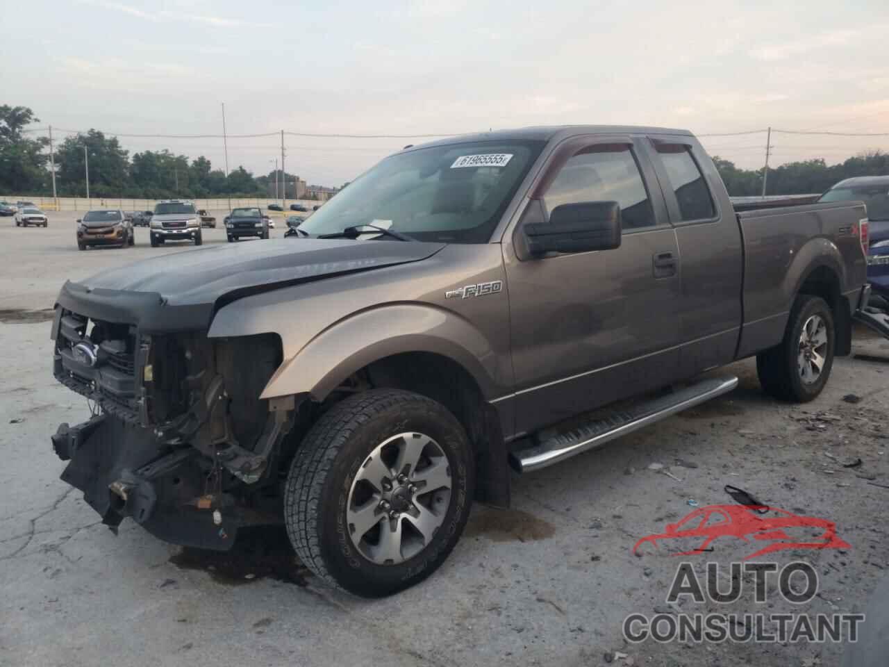 FORD F-150 2013 - 1FTFX1CF5DKD46261