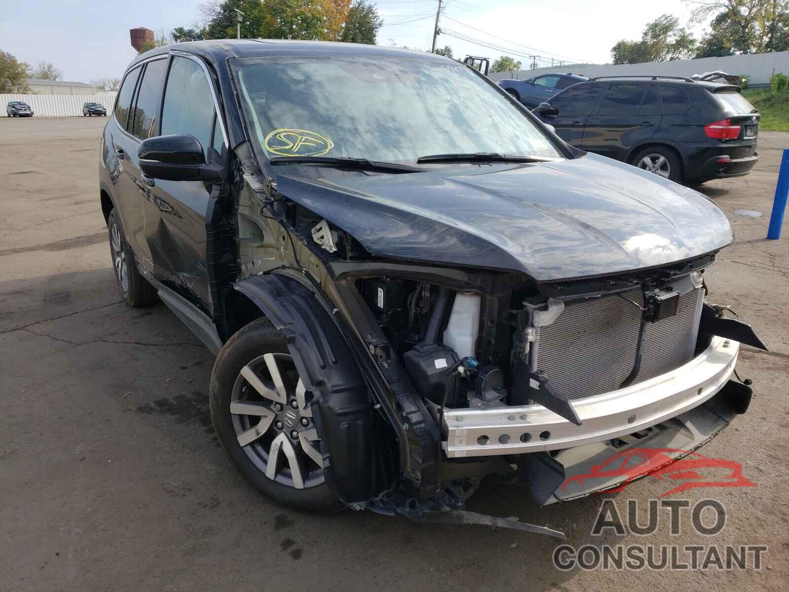 HONDA PILOT 2019 - 5FNYF6H52KB097825