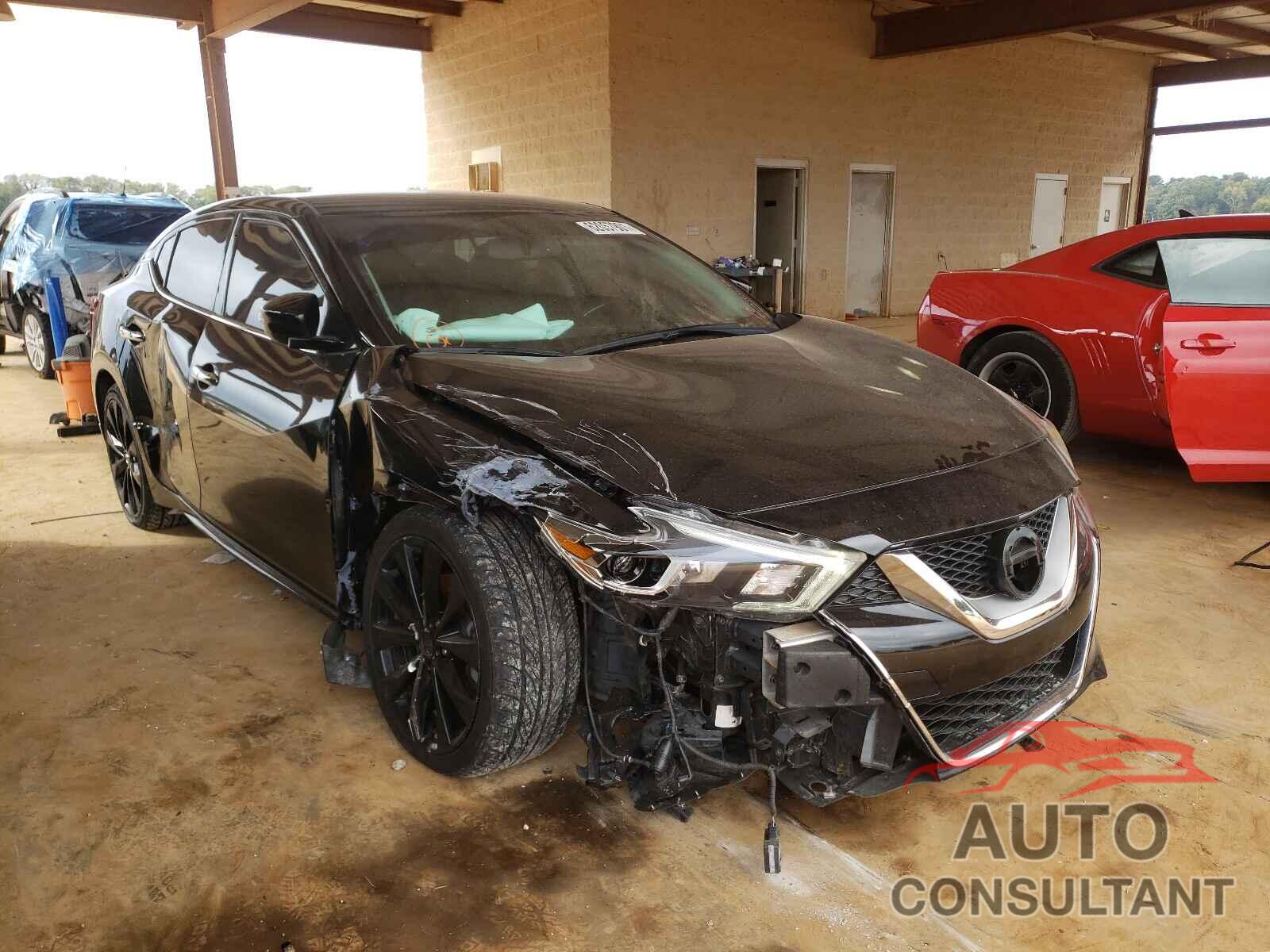 NISSAN MAXIMA 2016 - 1N4AA6AP4GC438857