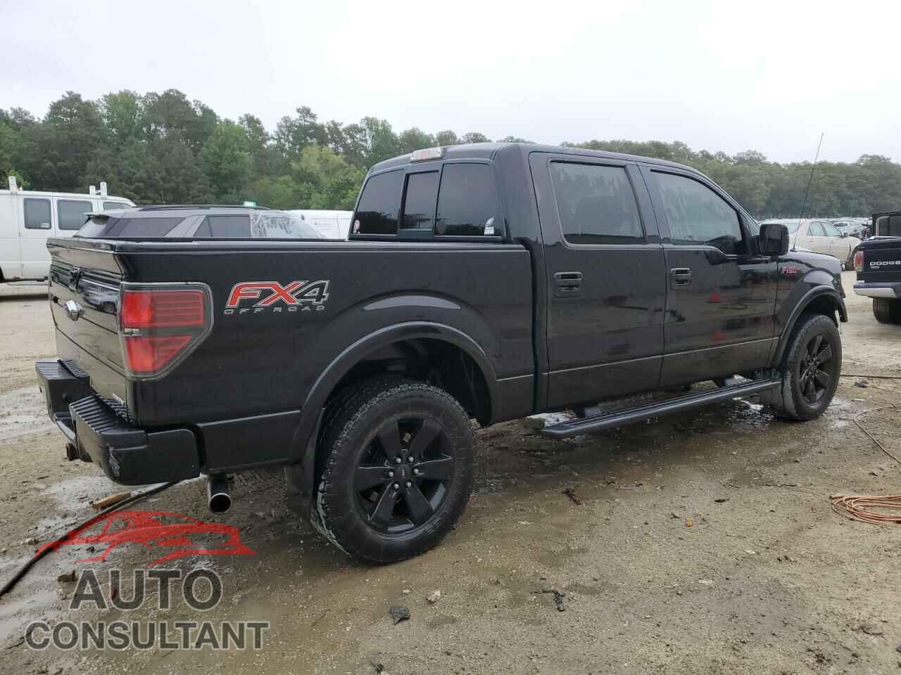 FORD F-150 2013 - 1FTFW1EF0DFD89351