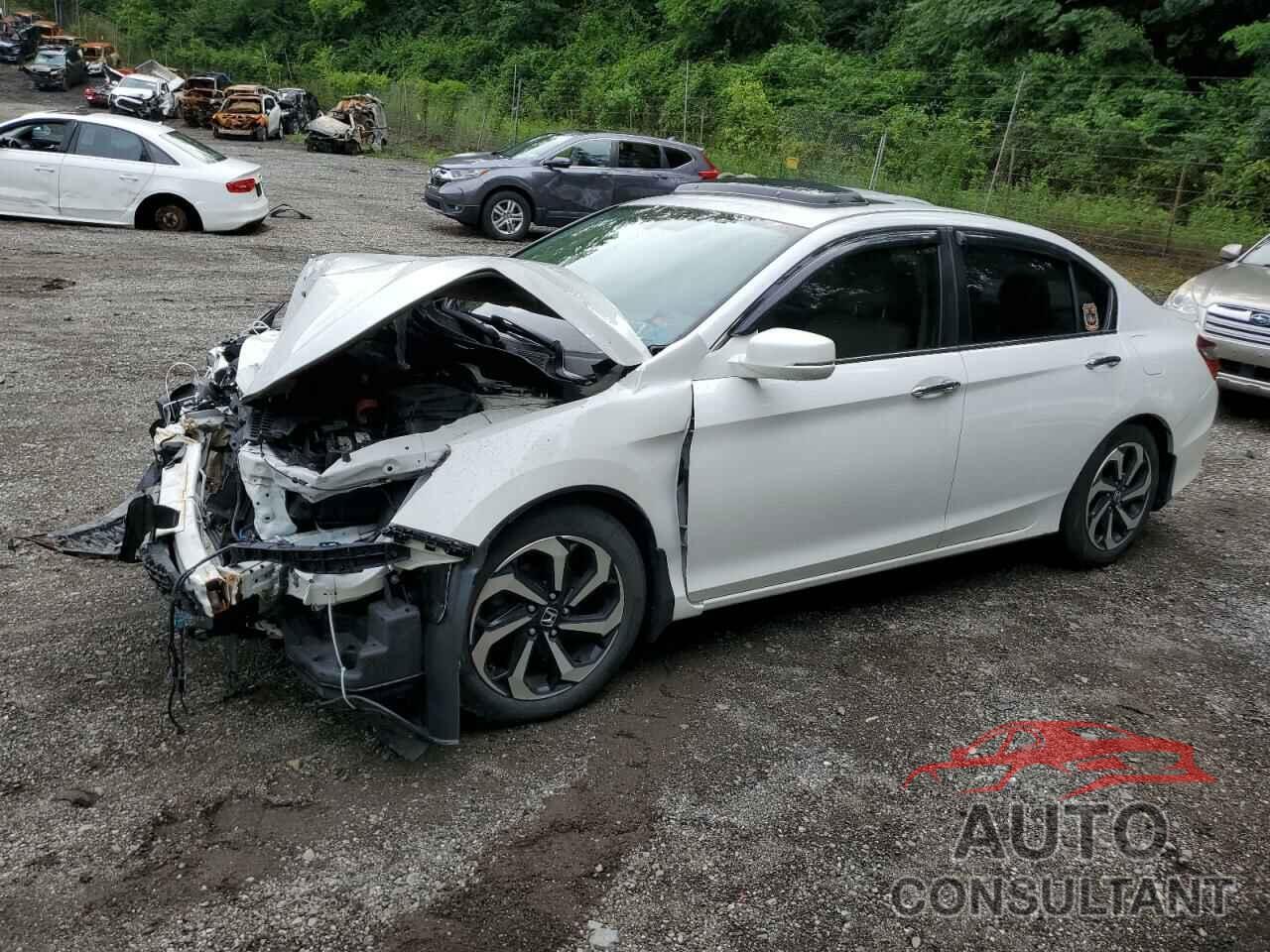 HONDA ACCORD 2016 - 1HGCR2F81GA232978