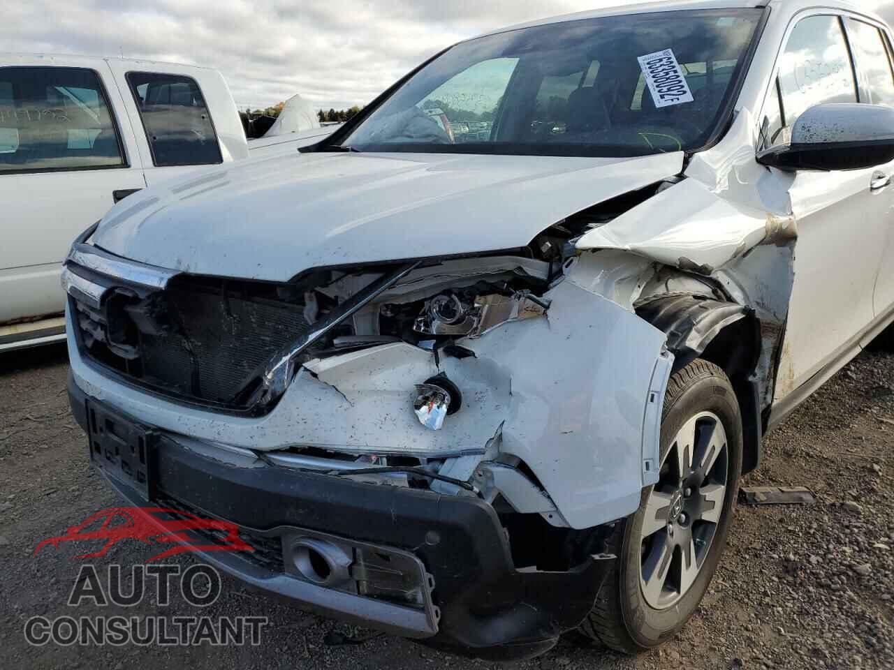 HONDA RIDGELINE 2019 - 5FPYK3F77KB033530