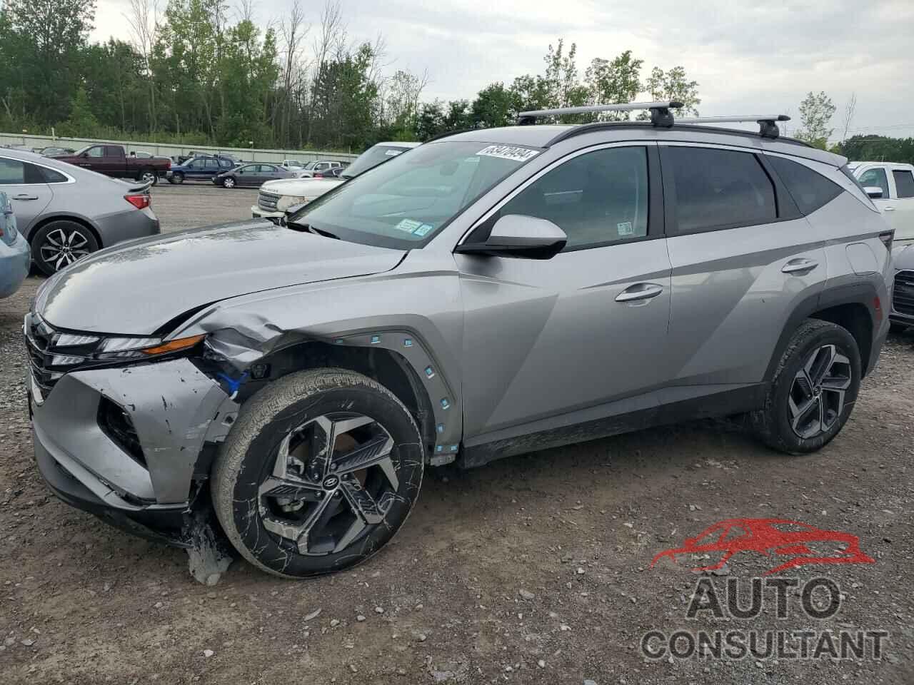 HYUNDAI TUCSON 2024 - KM8JBDD25RU182474