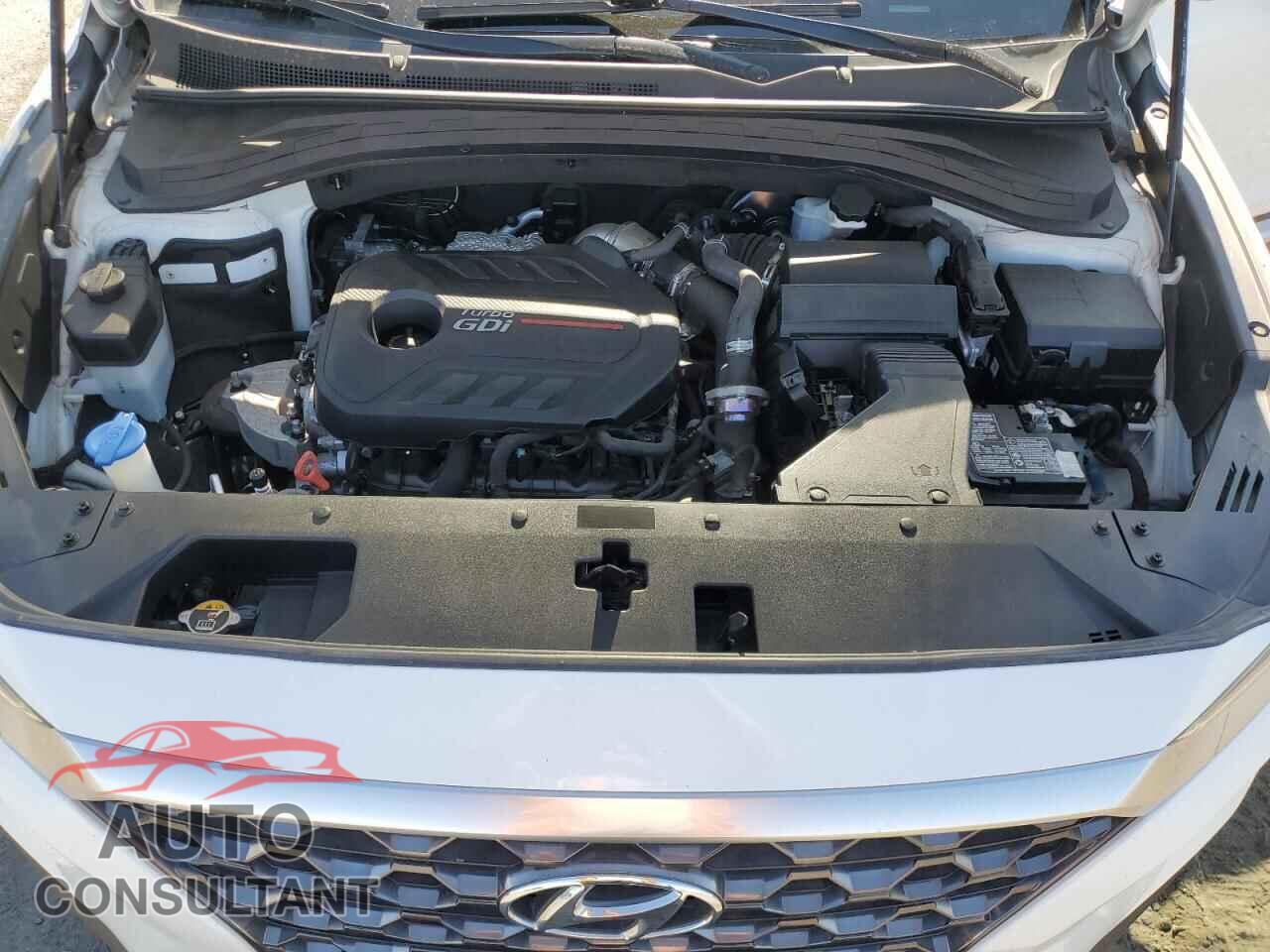 HYUNDAI SANTA FE 2019 - 5NMS5CAA5KH061253