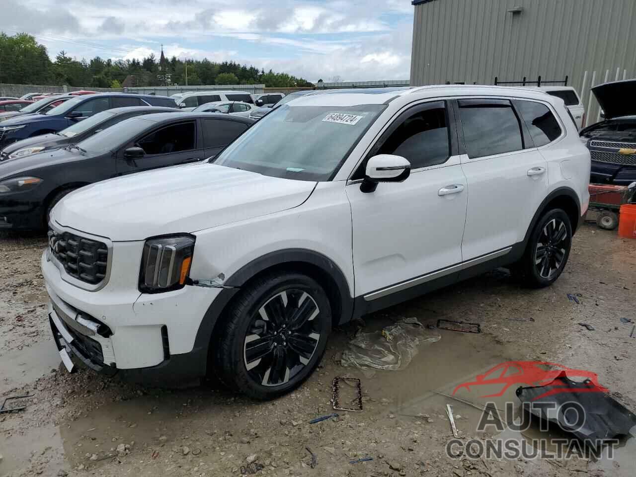 KIA TELLURIDE 2023 - 5XYP5DGC7PG330181