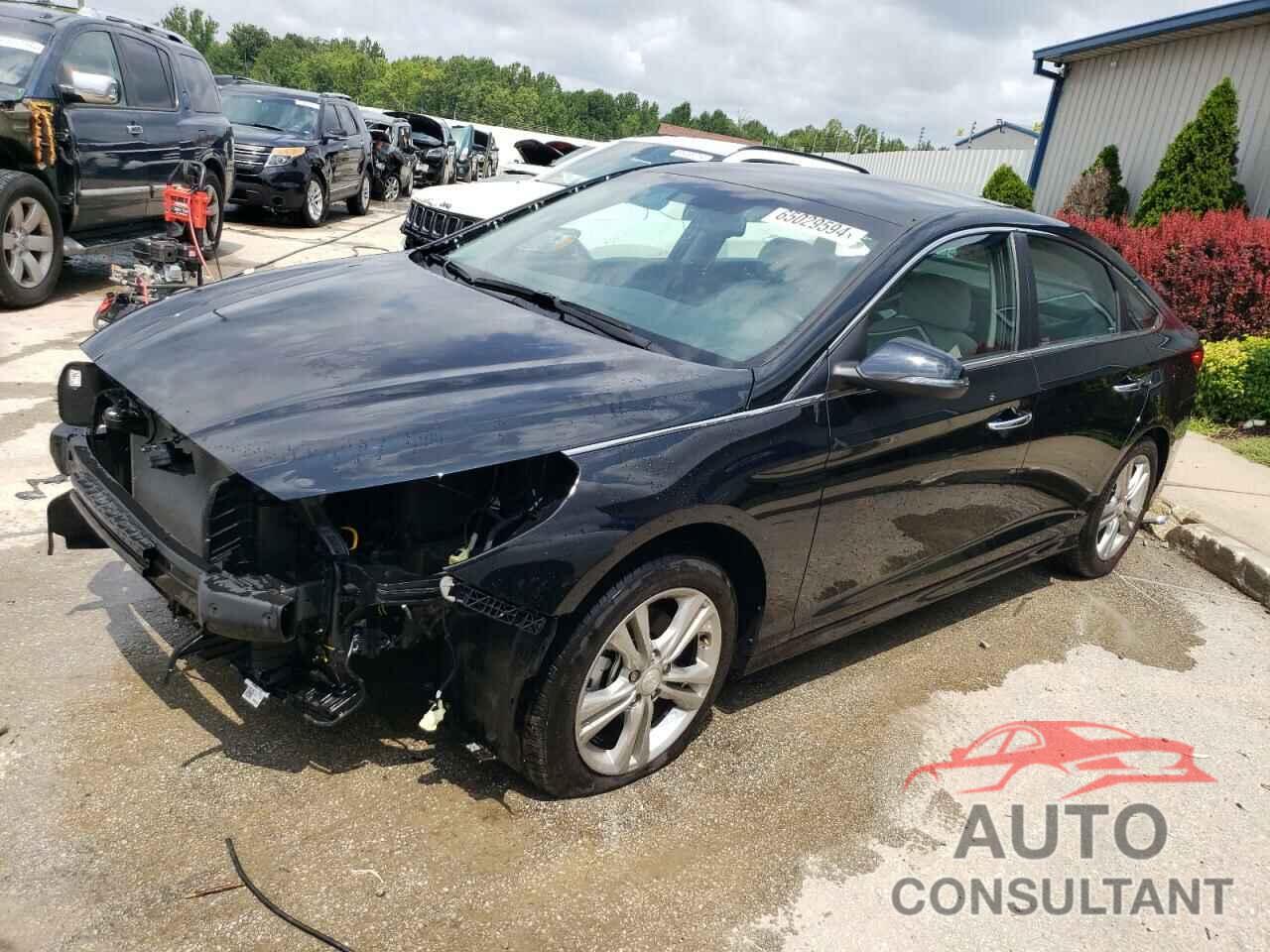 HYUNDAI SONATA 2019 - 5NPE34AF7KH793083