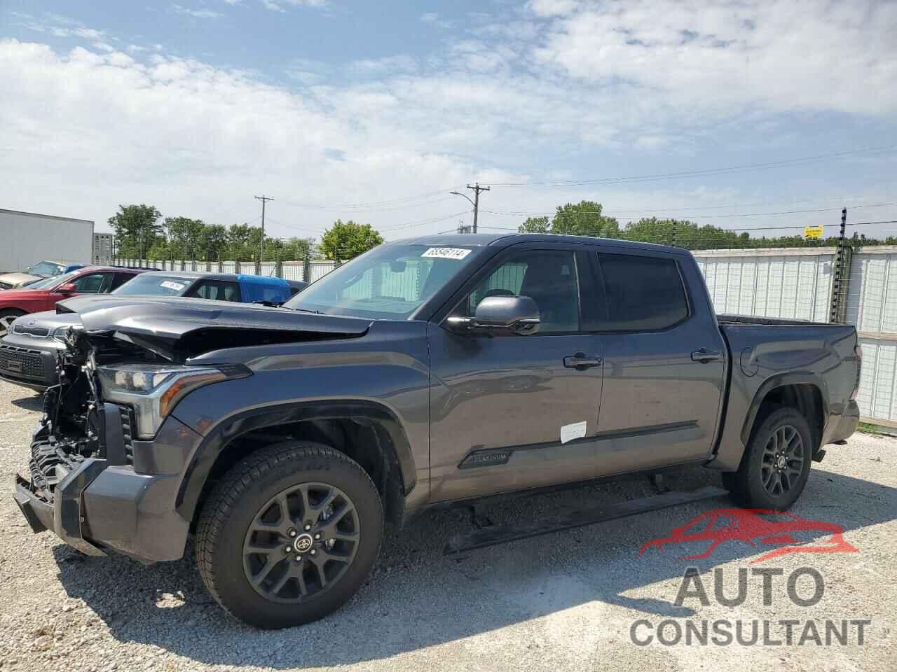 TOYOTA TUNDRA 2023 - 5TFNA5DB0PX118840