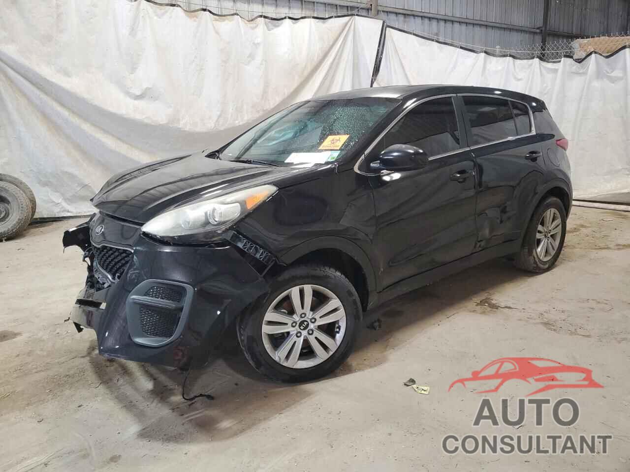 KIA SPORTAGE 2017 - KNDPM3AC8H7054355