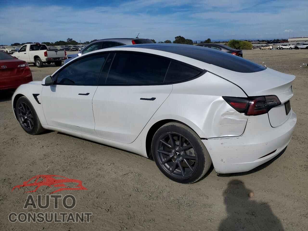 TESLA MODEL 3 2021 - 5YJ3E1EA2MF874444
