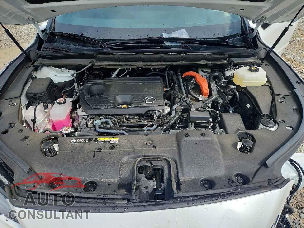 LEXUS UNKNOWN 2023 - 2T2BBMCA2PC016260