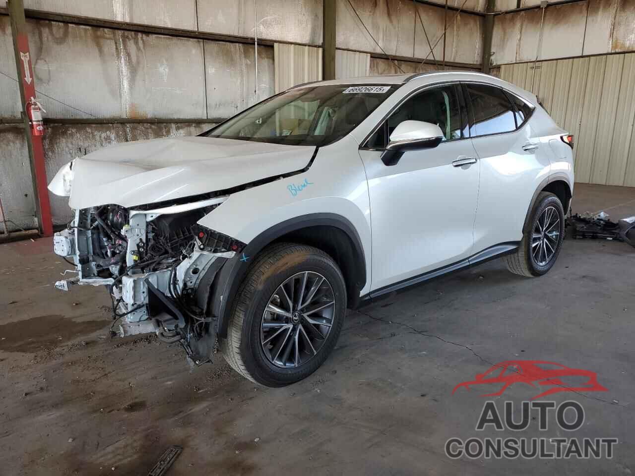 LEXUS NX 2024 - 2T2AKCEZ4RC018779